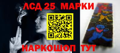 гидропоника Славгород