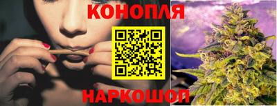 гидропоника Славгород