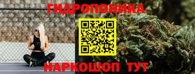 гашиш Сланцы