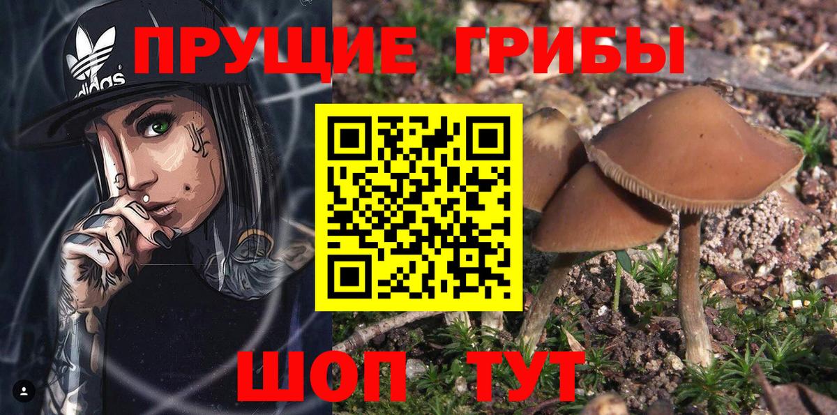 Галлюциногенные грибы ЛСД Орехово-Зуево