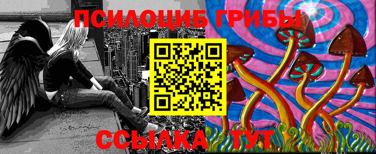 Галлюциногенные грибы Psilocybe  Галлюциногенные грибы прущие грибы  Вход с VPN  Орехово-Зуево 